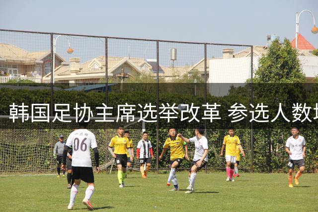 韩国足协主席选举改革 参选人数增至2万